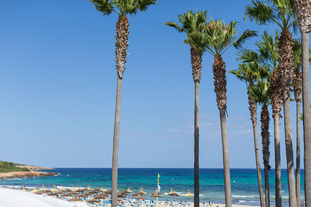 Thb Sa Coma Platja Hotel Facilities photo